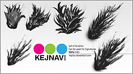 kejnav SIG
