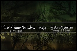 树的愿景PS图象处理