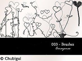 003 -刷- Co