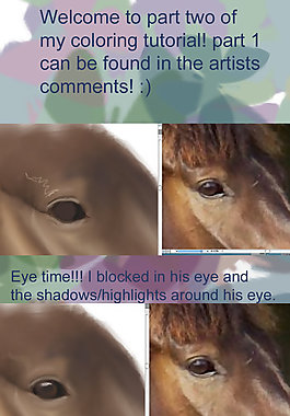 Corel Pain