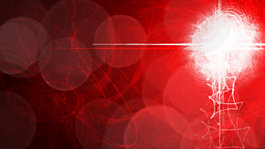 Wall 11