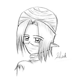 酋长
