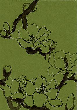 木兰花