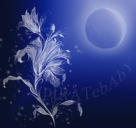 Moon Flowe