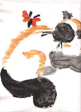 暹罗猫