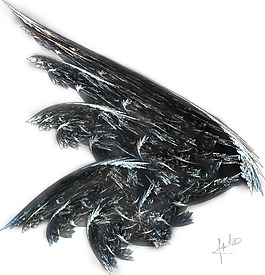 预览：Angel W