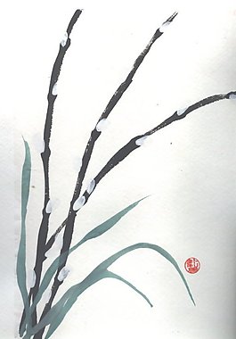 褪色柳