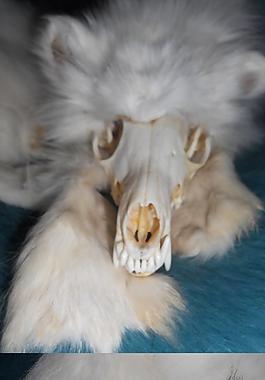 北极狐幽灵：在制品2