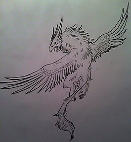Griffin Sk