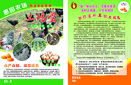 惠园农场土鸡蛋   彩页
