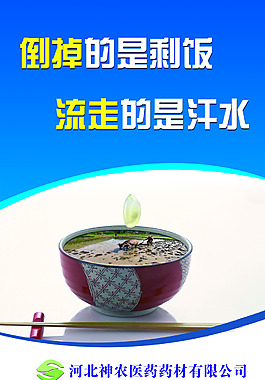 倒掉的是剩饭海报