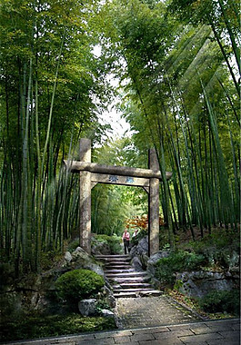 竹林风景景观