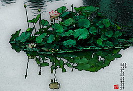 水墨画荷花水墨画