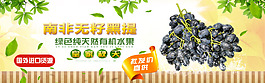 南非黑提海报