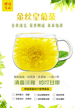 金丝黄菊海报