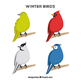 一组颜色各异的鸟儿