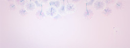 粉色海报banner背景