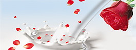 玫瑰花牛奶banner背景