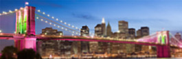 外国建筑大桥风景banner