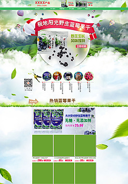 淘宝网食品类水果干蓝莓干首页模板