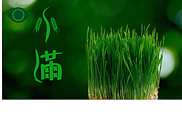 小满