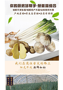 淘宝网食品蔬菜类葱姜蒜详情页模板