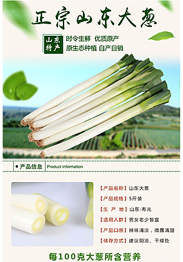 淘宝网食品蔬菜大葱详情页模板