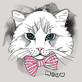 蝴蝶结猫咪