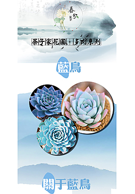 多肉植物产品详情图模板