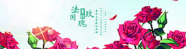 玫瑰挡板終展架