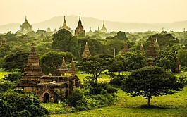 森林城市建筑背景