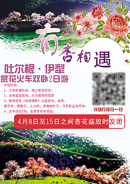 杏花海报