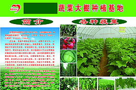 绿色蔬菜大棚