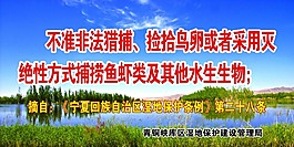 非法猎捕生物展板