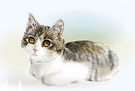 手绘小猫