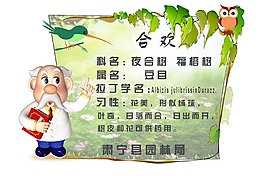 树木介绍展板
