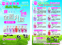 天友牛奶宣传单