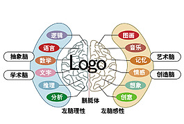 左右脑子功能
