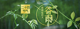 春季谷雨时节首页大屏海报PSD