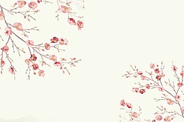 腊梅背景
