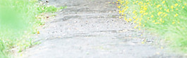 绿色植物小清新banner