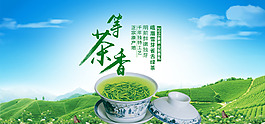 茶叶海报
