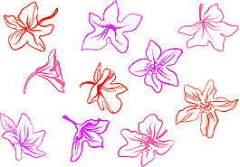 手绘花卉插画