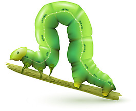 写实的蚜虫的设计矢量素材