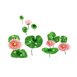 荷花荷叶元素