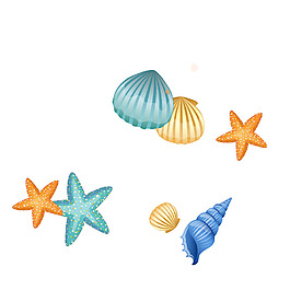 夏季海星贝壳元素
