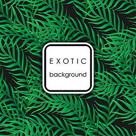 热带树叶广告背景矢量素材下载