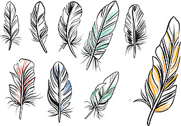 手绘羽毛