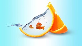 小金鱼在创意的水缸里流动