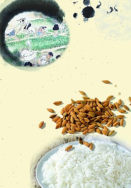 白米饭与稻谷爱护粮食背景